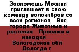 Зоопомощь.Москва приглашает в свою команду волонтёров со всех регионов - Все города Животные и растения » Пропажи и находки   . Вологодская обл.,Вологда г.